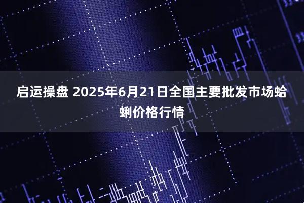 启运操盘 2025年6月21日全国主要批发市场蛤蜊价格行情