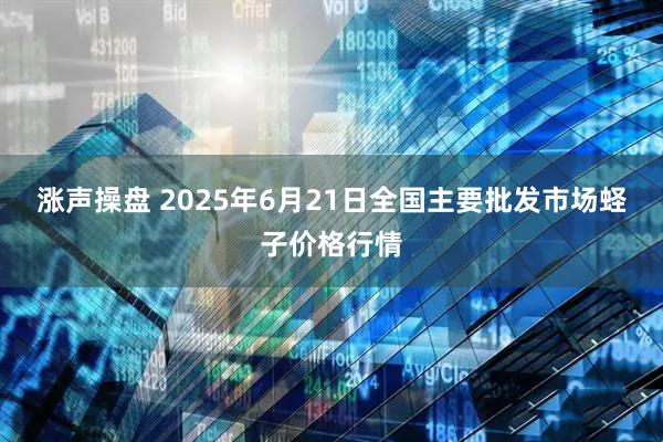 涨声操盘 2025年6月21日全国主要批发市场蛏子价格行情