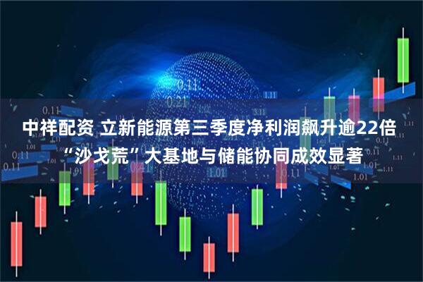 中祥配资 立新能源第三季度净利润飙升逾22倍 “沙戈荒”大基地与储能协同成效显著